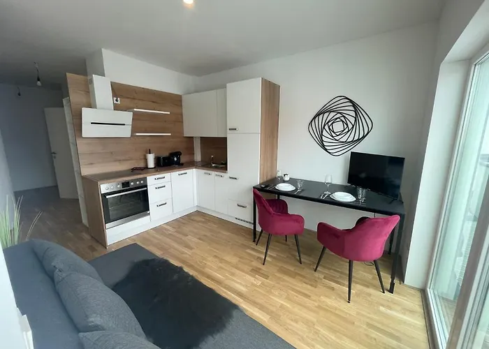 Swan 17-monthly Only Apartment Vienna