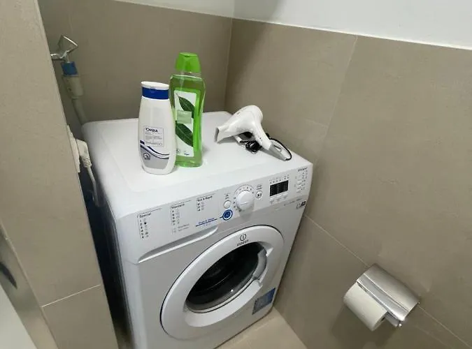 Swan 17-monthly Only Apartment Vienna
